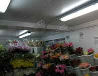 Хранение цветов в холодильной камере