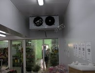 Воздухоохладитель цветочной камеры